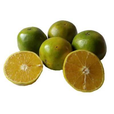 Naranja valencia