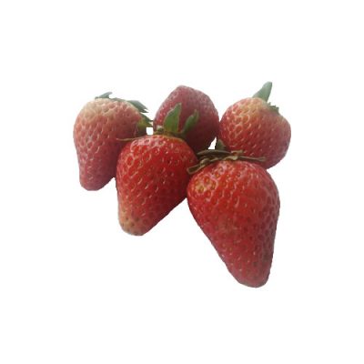fresa jumbo