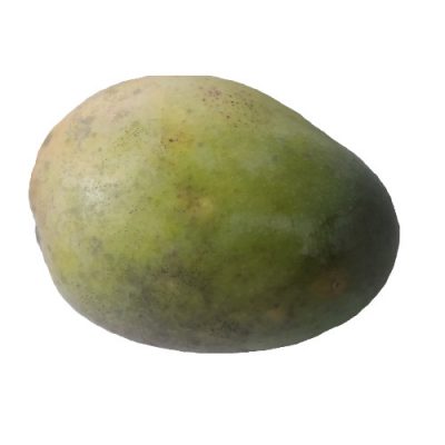 mangoComun