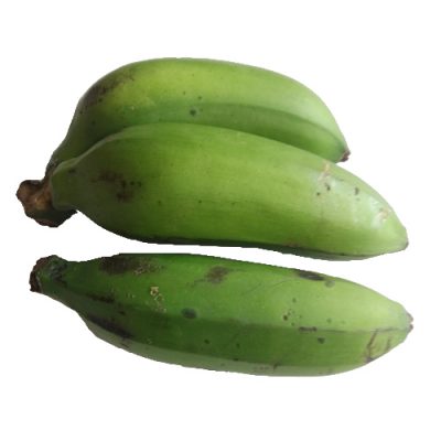 platano colicero