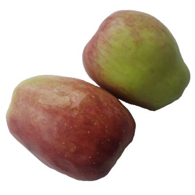 manzanaAgua