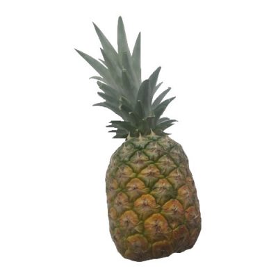 pinaGolden